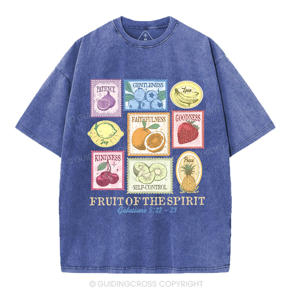 Fruit Of The Spirit Christian Washed T-Shirt