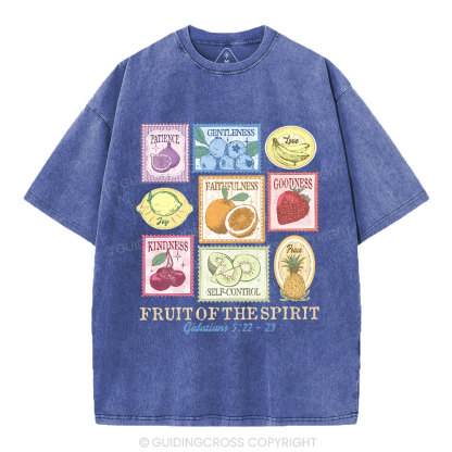 Fruit Of The Spirit Christian Washed T-Shirt