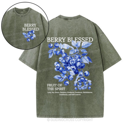 Fruit Of The Spirit Christian Washed T-Shirt