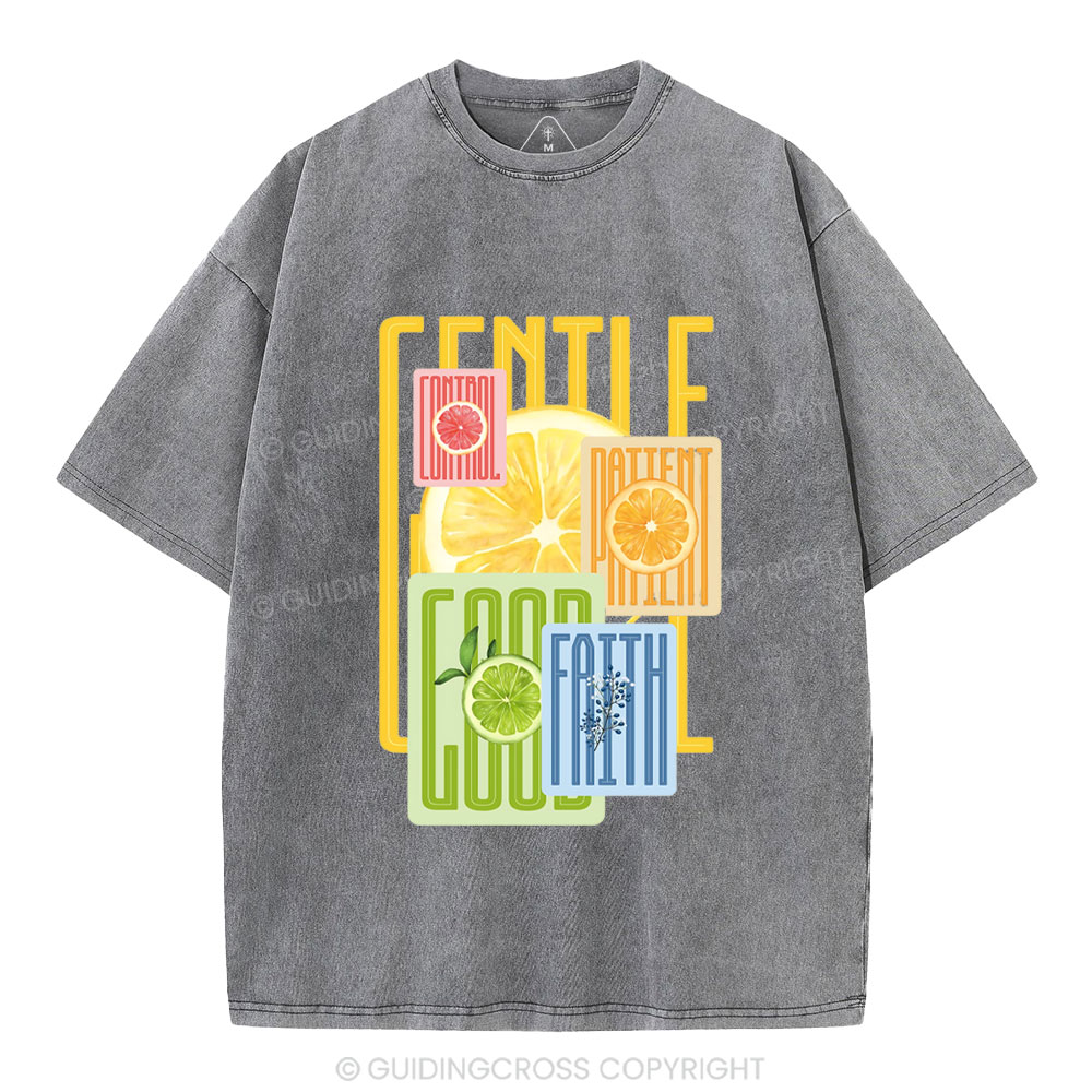Fruit Of The Spirit Christian Washed T-Shirt