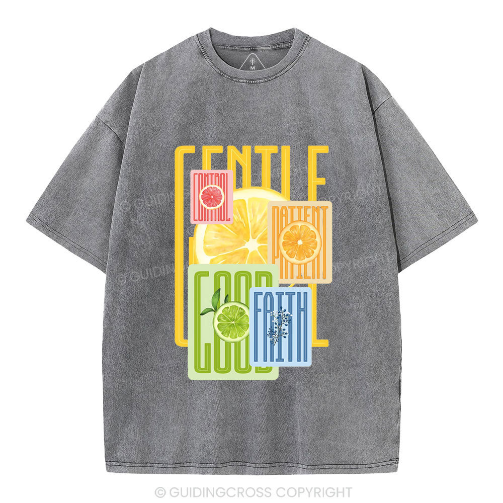 Fruit Of The Spirit Christian Washed T-Shirt