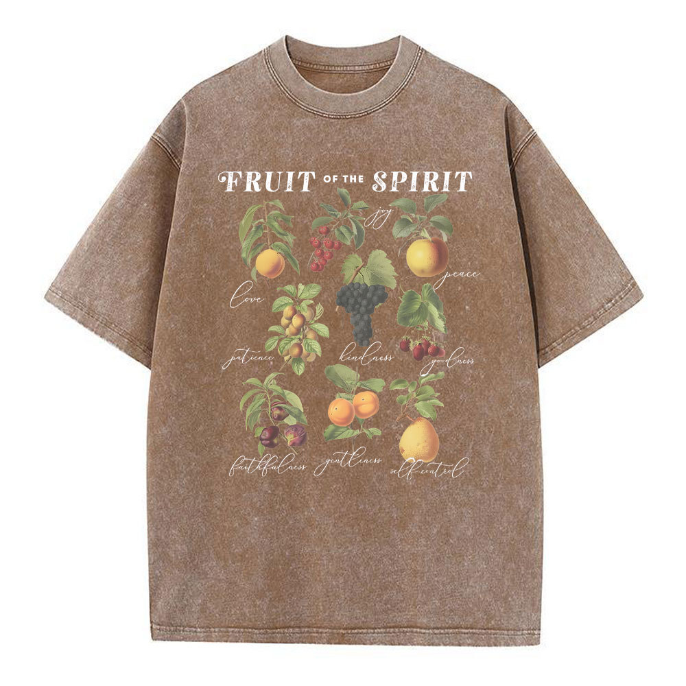 Fruit Of The Spirit Christian Washed T-Shirt