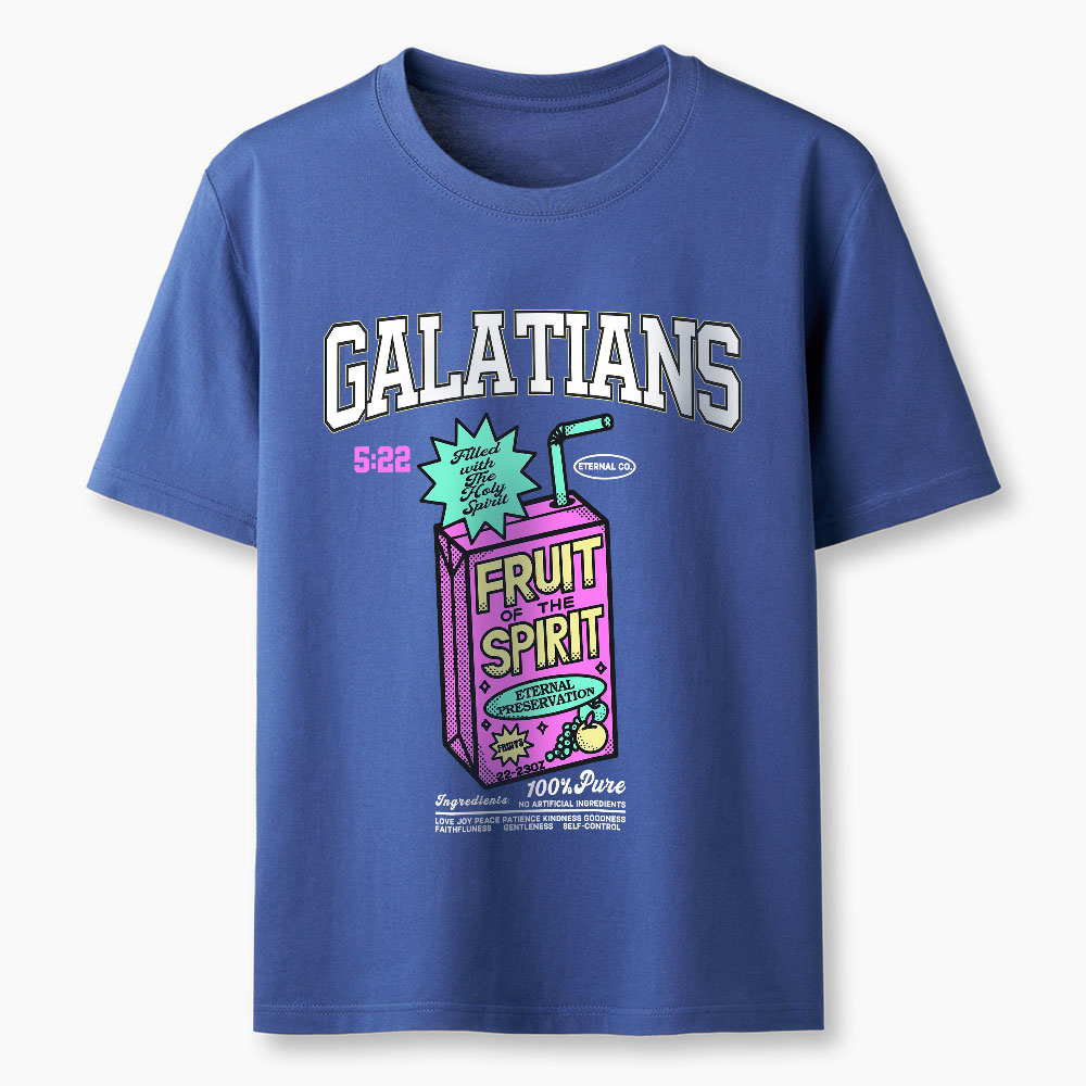 Fruit Of The Spirit Christian Washed T-Shirt