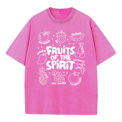 Fruit Of The Spirit Christian Washed T-Shirt