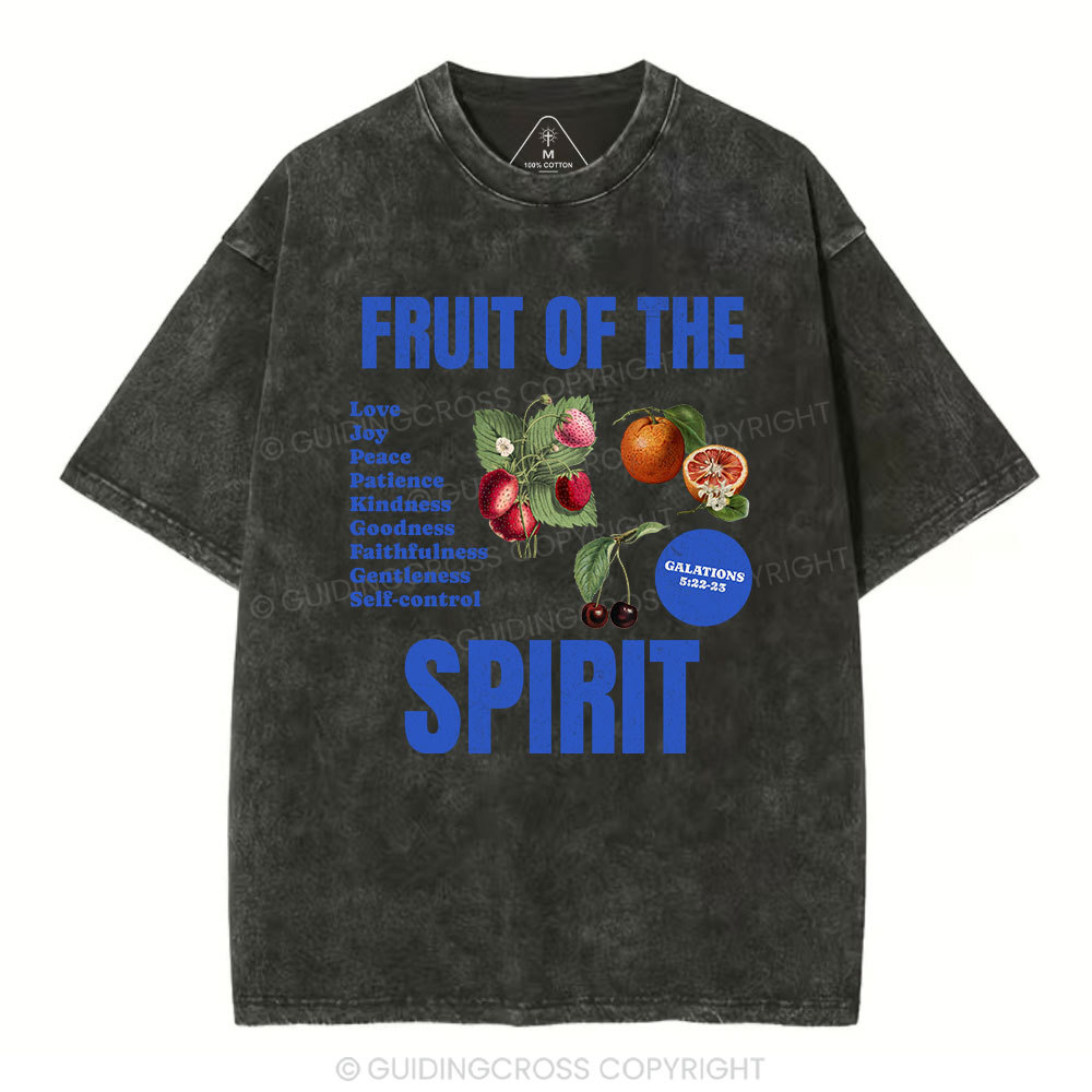 Fruit Of The Spirit Christian Washed T-Shirt