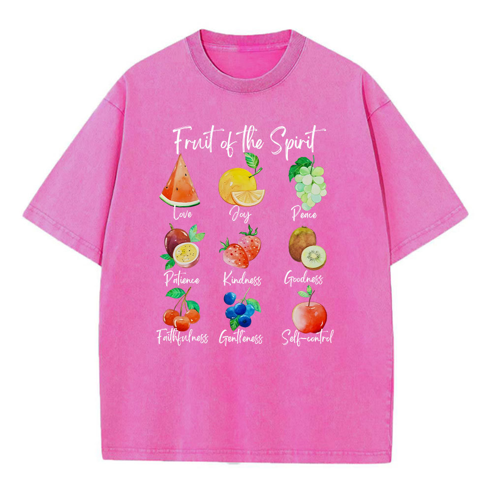 Fruit Of The Spirit Christian Washed T-Shirt