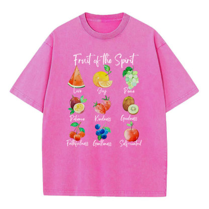 Fruit Of The Spirit Christian Washed T-Shirt