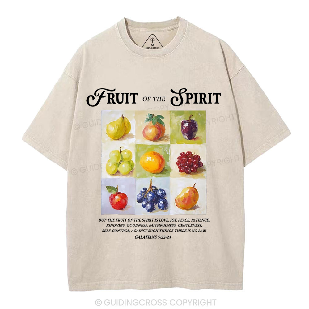 Fruit Of The Spirit Christian Washed T-Shirt