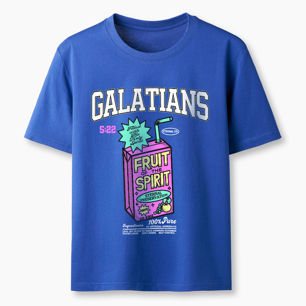 Fruit Of The Spirit Christian Washed T-Shirt