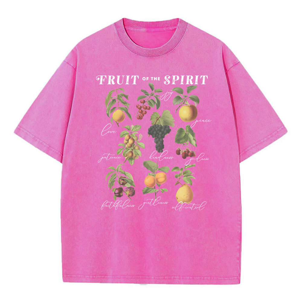 Fruit Of The Spirit Christian Washed T-Shirt