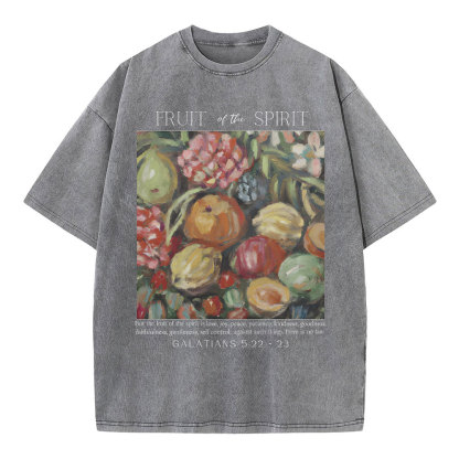 Fruit Of The Spirit Christian Washed T-Shirt