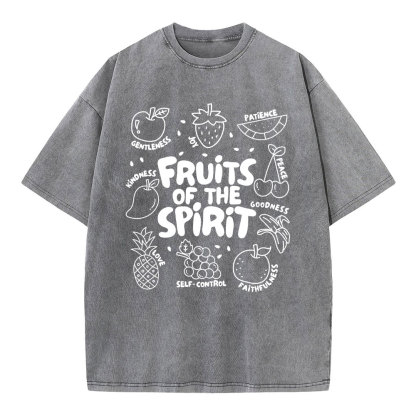 Fruit Of The Spirit Christian Washed T-Shirt