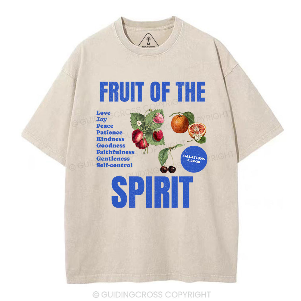 Fruit Of The Spirit Christian Washed T-Shirt