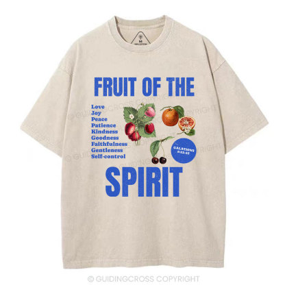Fruit Of The Spirit Christian Washed T-Shirt