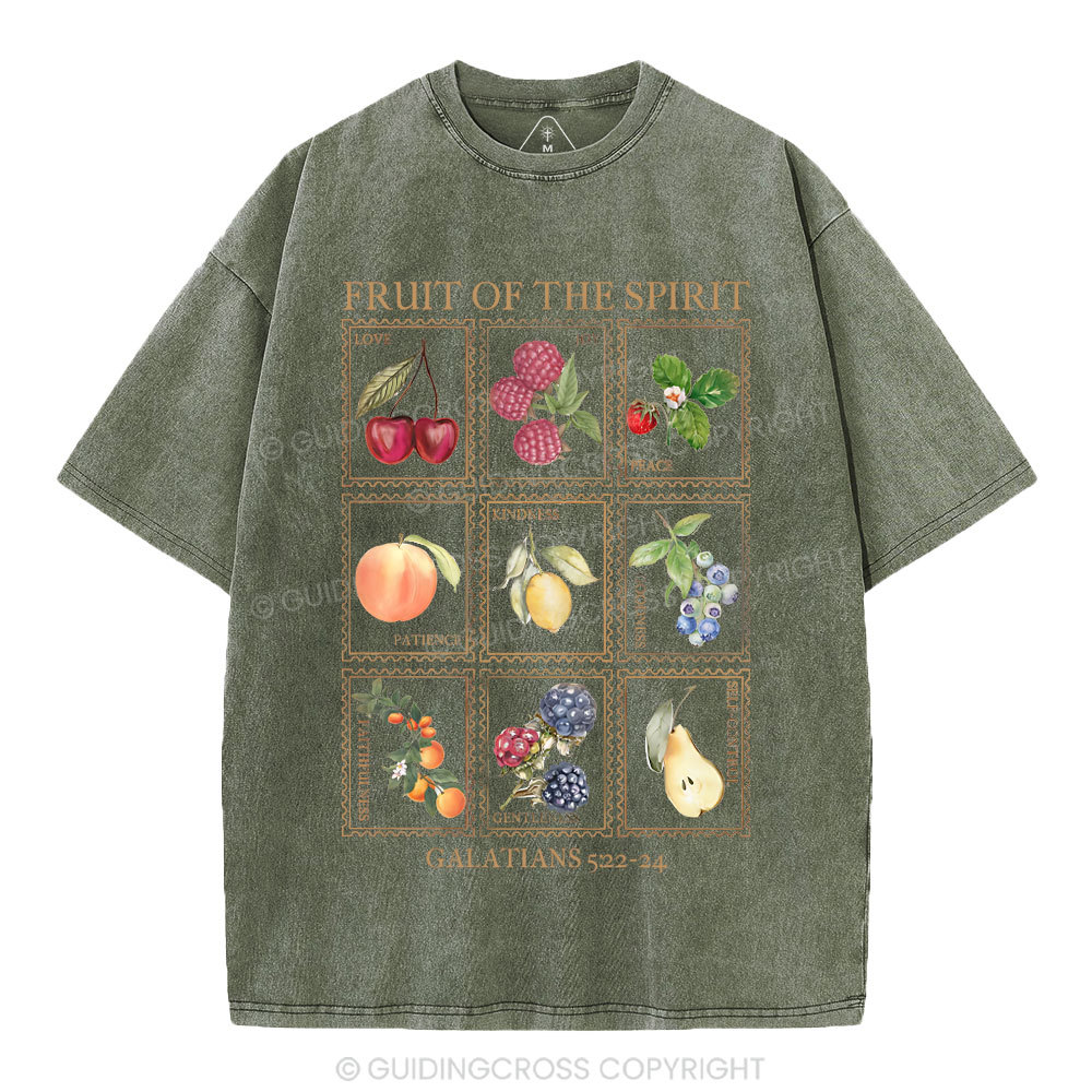 Fruit Of The Spirit Christian Washed T-Shirt