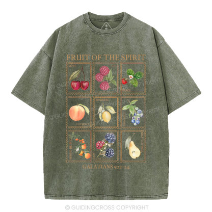 Fruit Of The Spirit Christian Washed T-Shirt