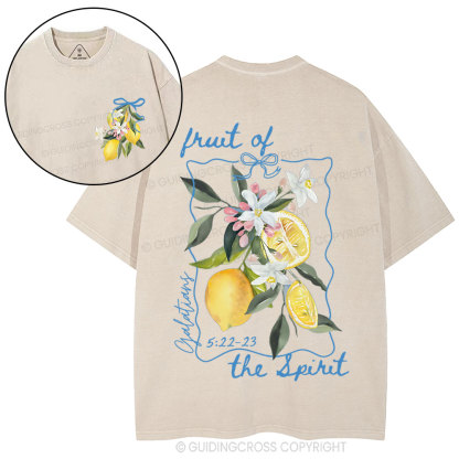 Fruit Of The Spirit Christian Washed T-Shirt