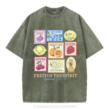 Fruit Of The Spirit Christian Washed T-Shirt