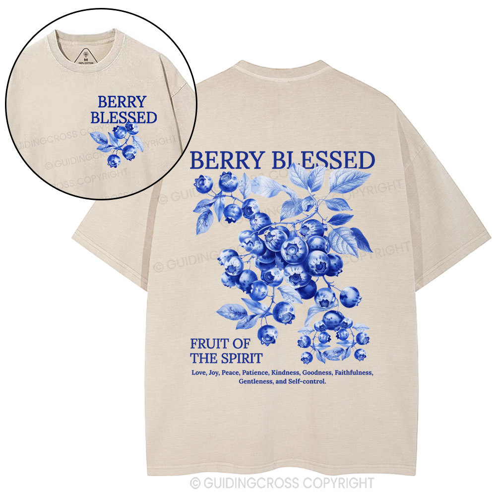Fruit Of The Spirit Christian Washed T-Shirt