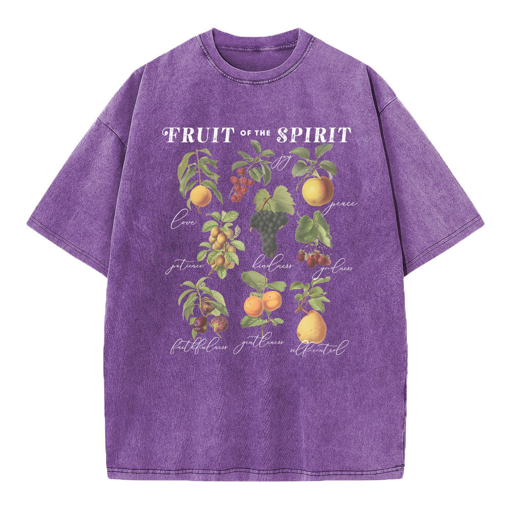 Fruit Of The Spirit Christian Washed T-Shirt