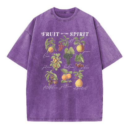 Fruit Of The Spirit Christian Washed T-Shirt