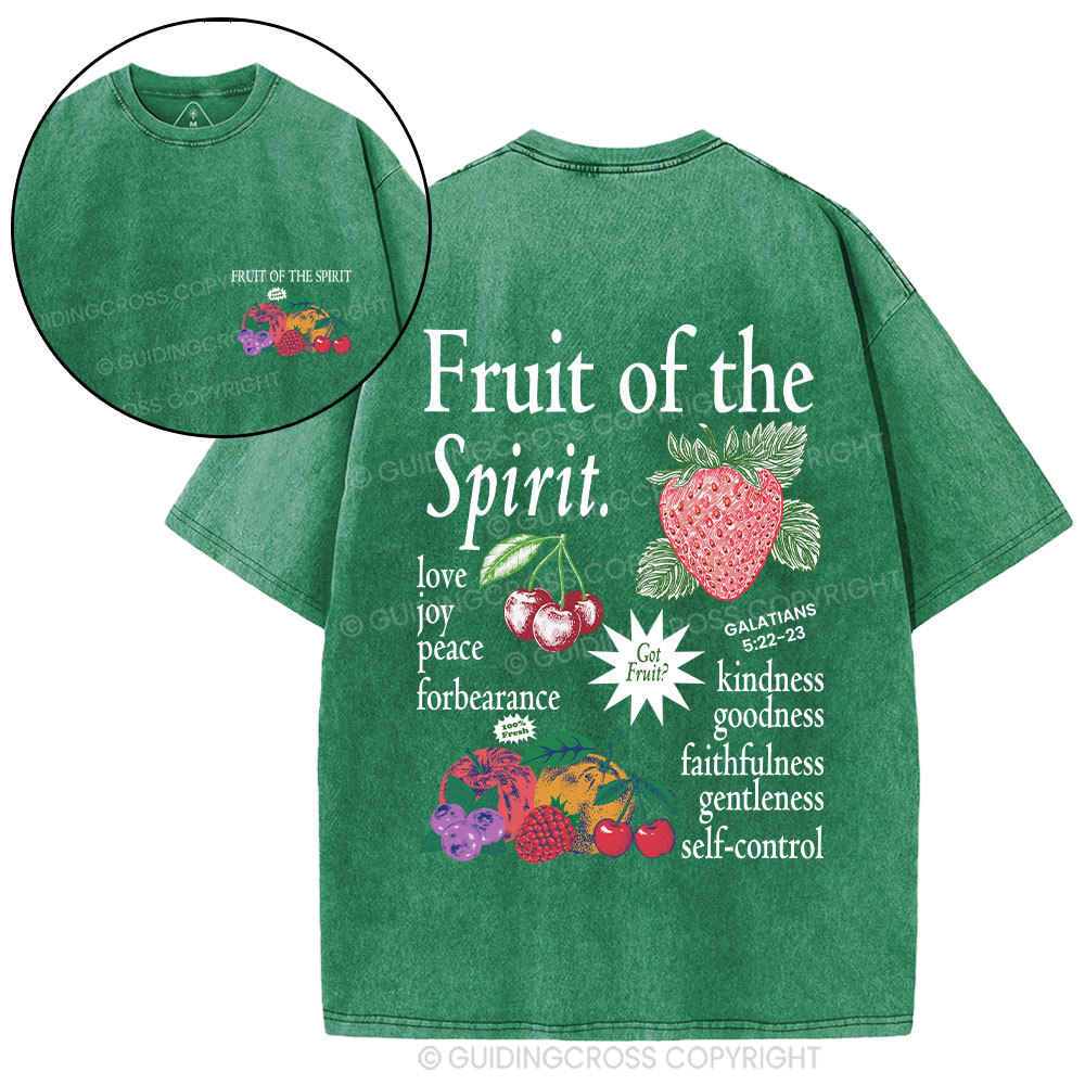 Fruit Of The Spirit Christian Washed T-Shirt