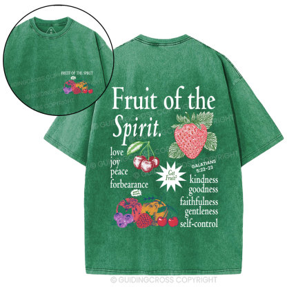 Fruit Of The Spirit Christian Washed T-Shirt
