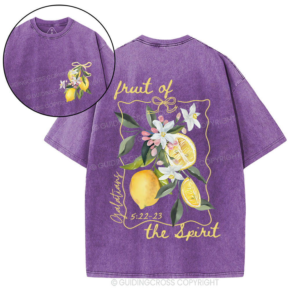Fruit Of The Spirit Christian Washed T-Shirt