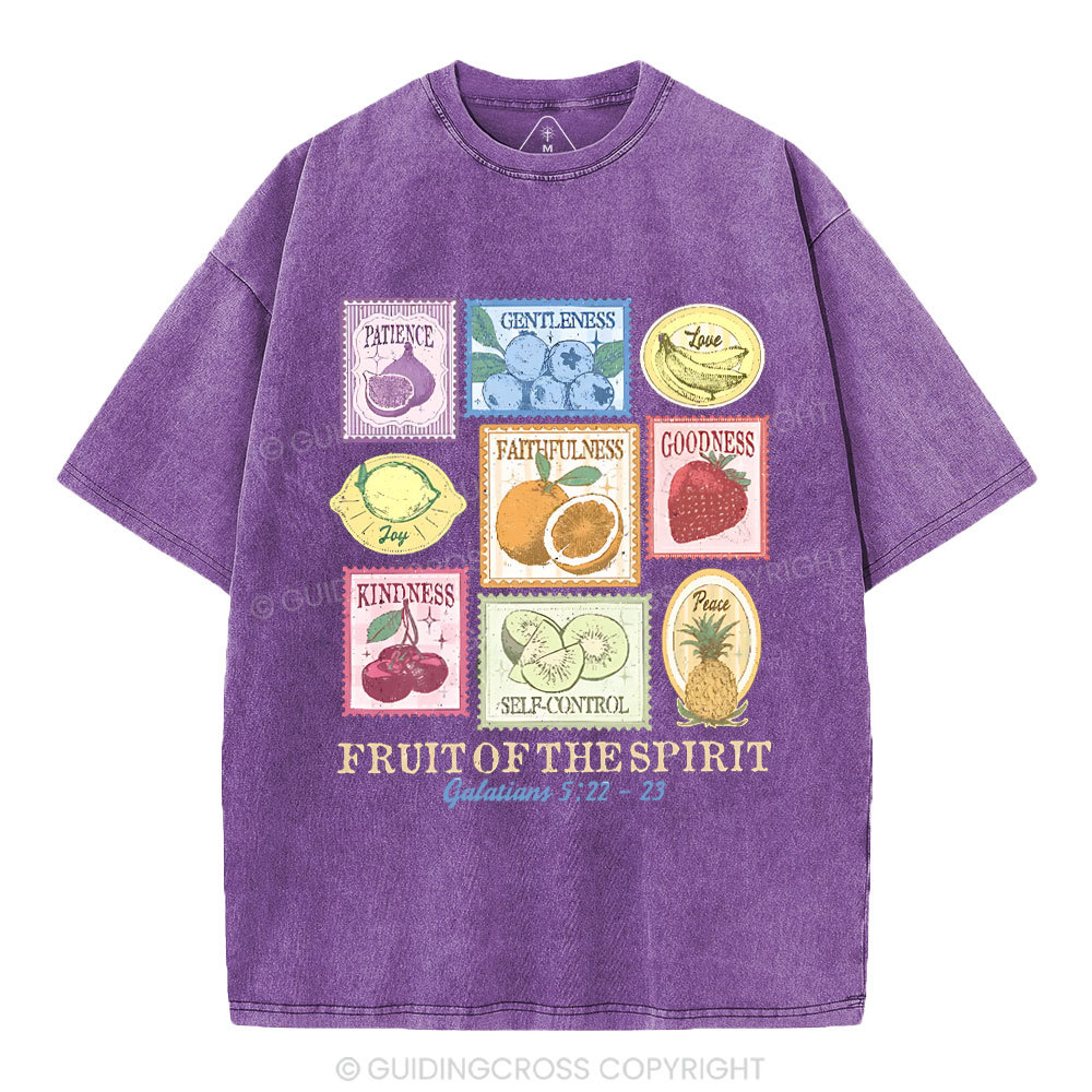 Fruit Of The Spirit Christian Washed T-Shirt