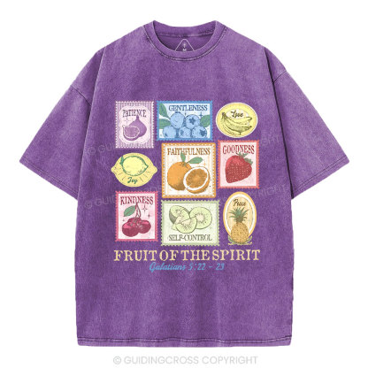 Fruit Of The Spirit Christian Washed T-Shirt