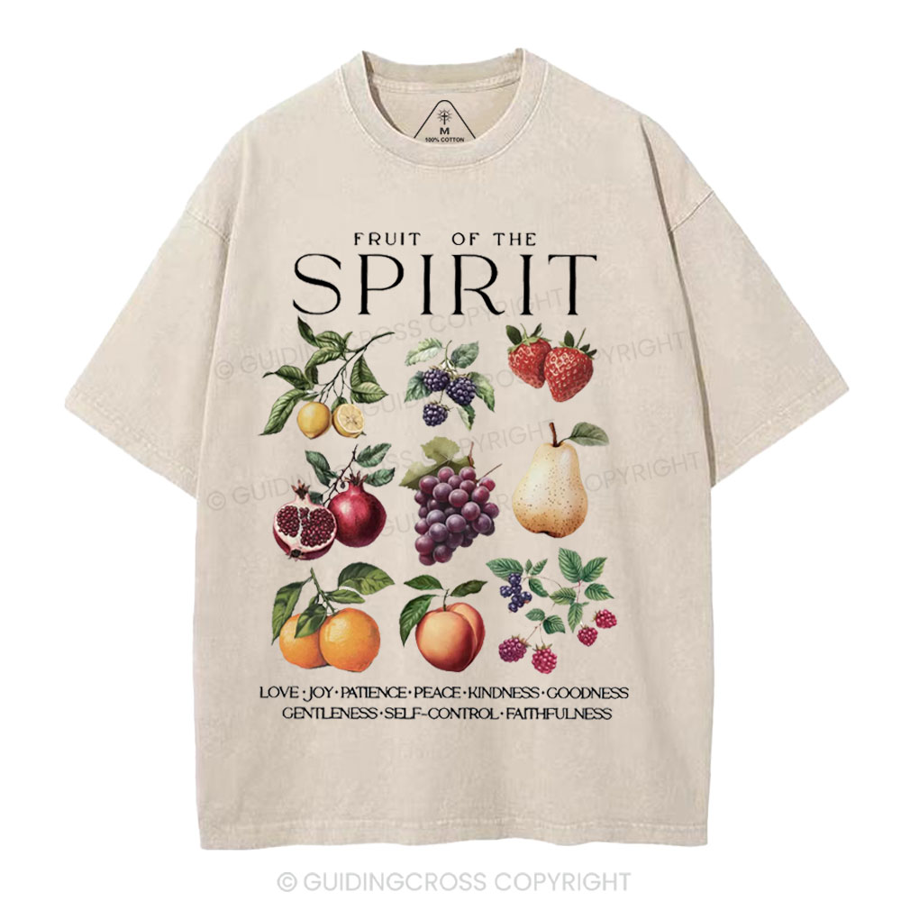 Fruit Of The Spirit Christian Washed T-Shirt