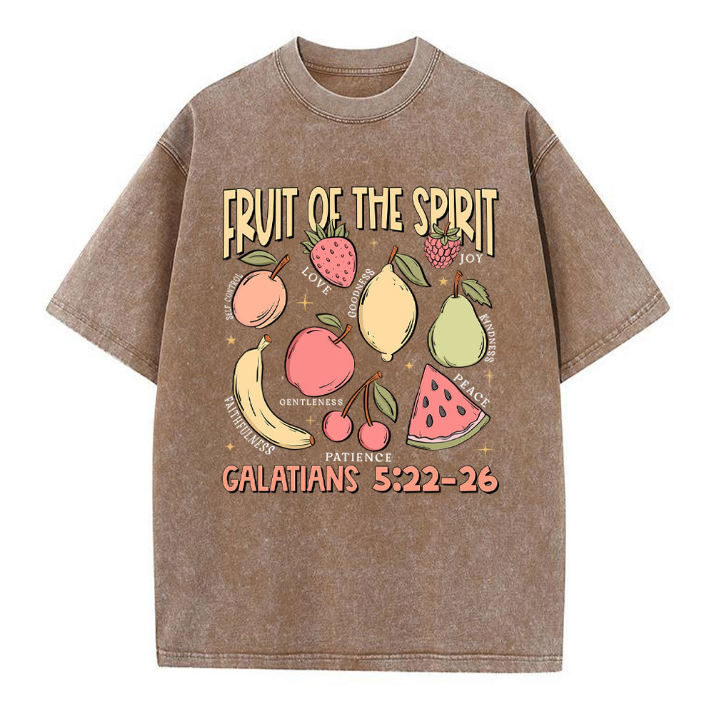 Fruit Of The Spirit Christian Washed T-Shirt