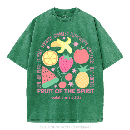 Fruit Of The Spirit Christian Washed T-Shirt