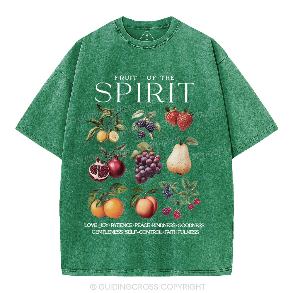 Fruit Of The Spirit Christian Washed T-Shirt