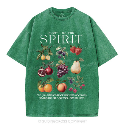 Fruit Of The Spirit Christian Washed T-Shirt