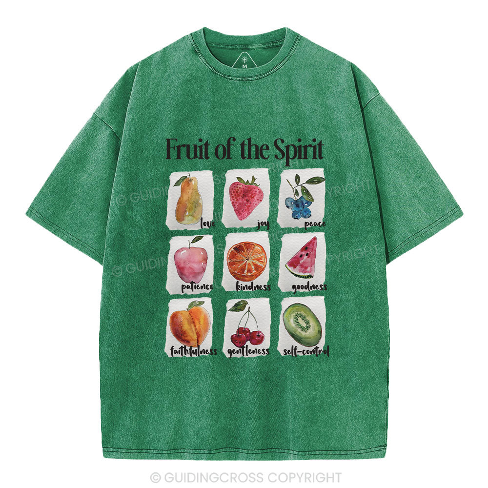 Fruit Of The Spirit Christian Washed T-Shirt