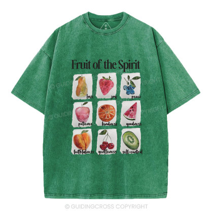 Fruit Of The Spirit Christian Washed T-Shirt
