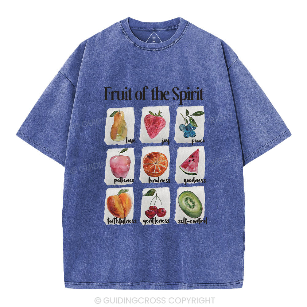 Fruit Of The Spirit Christian Washed T-Shirt
