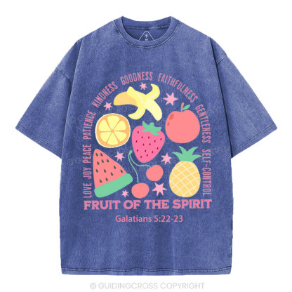 Fruit Of The Spirit Christian Washed T-Shirt