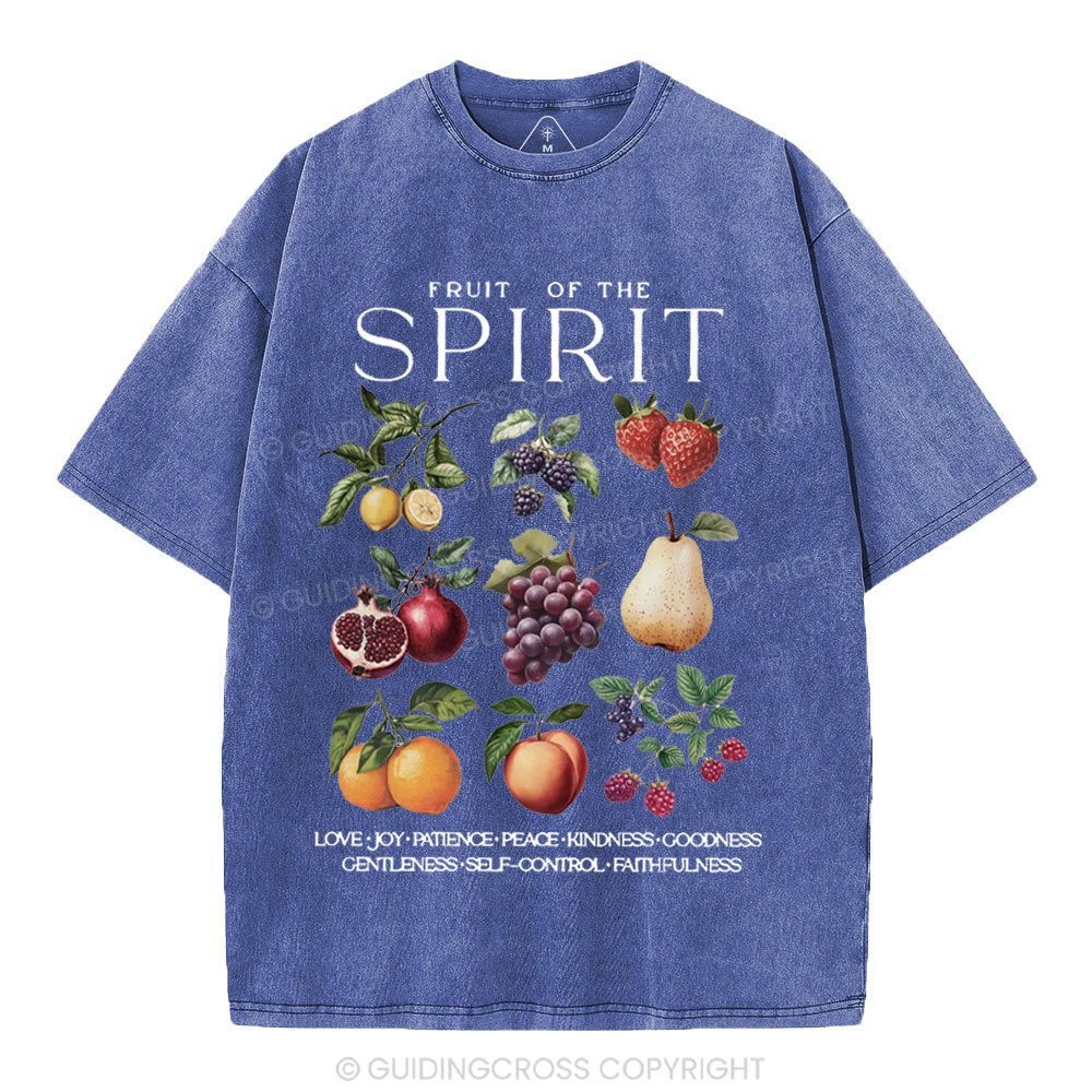 Fruit Of The Spirit Christian Washed T-Shirt