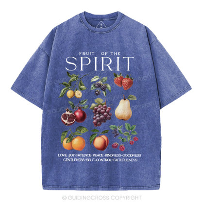 Fruit Of The Spirit Christian Washed T-Shirt