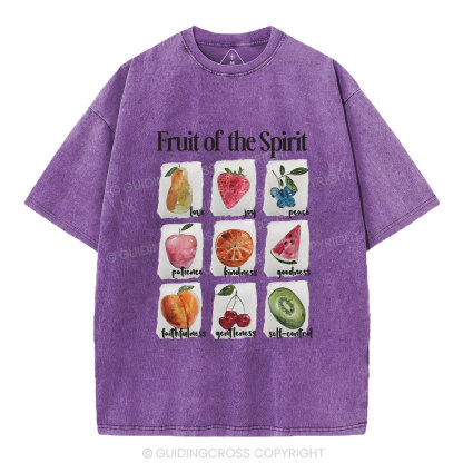 Fruit Of The Spirit Christian Washed T-Shirt