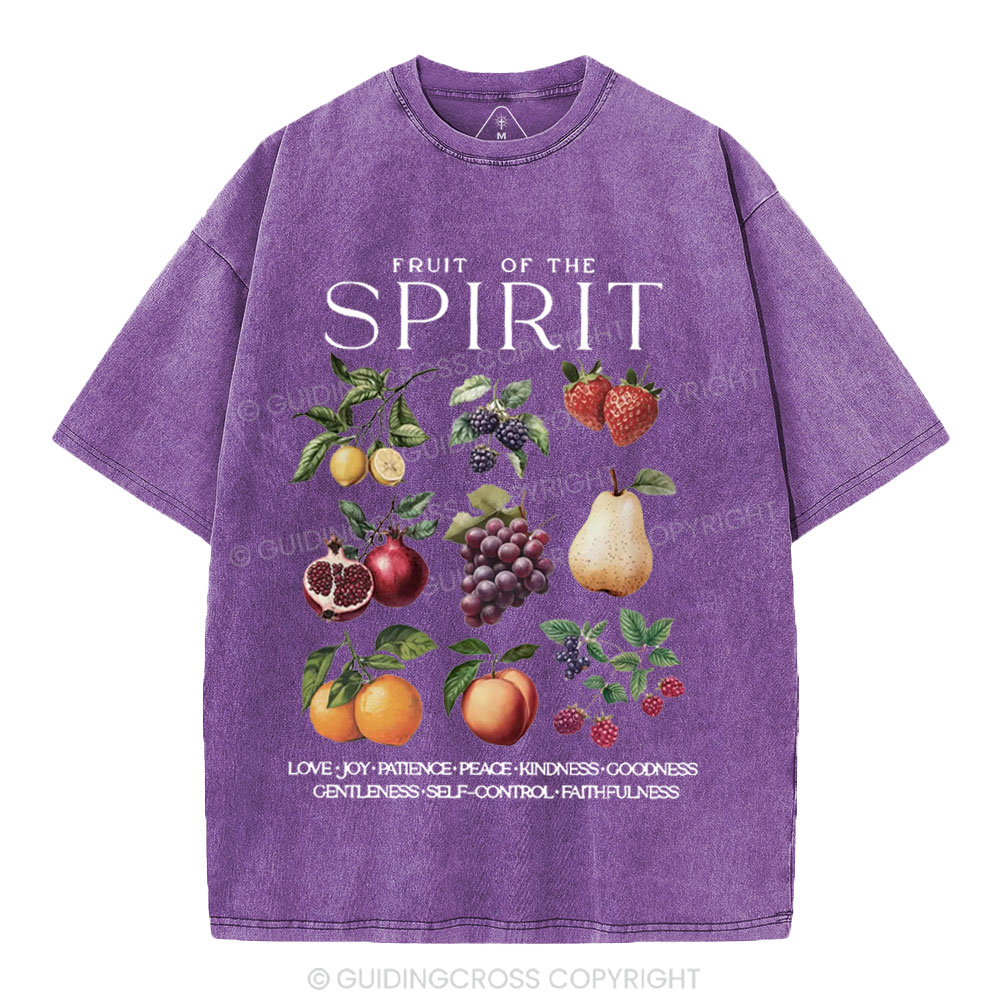 Fruit Of The Spirit Christian Washed T-Shirt