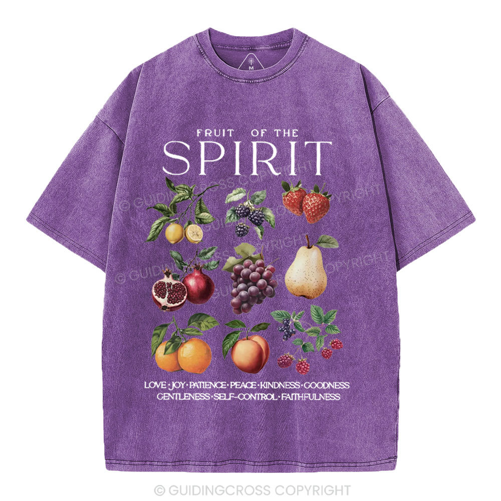Fruit Of The Spirit Christian Washed T-Shirt
