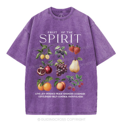 Fruit Of The Spirit Christian Washed T-Shirt