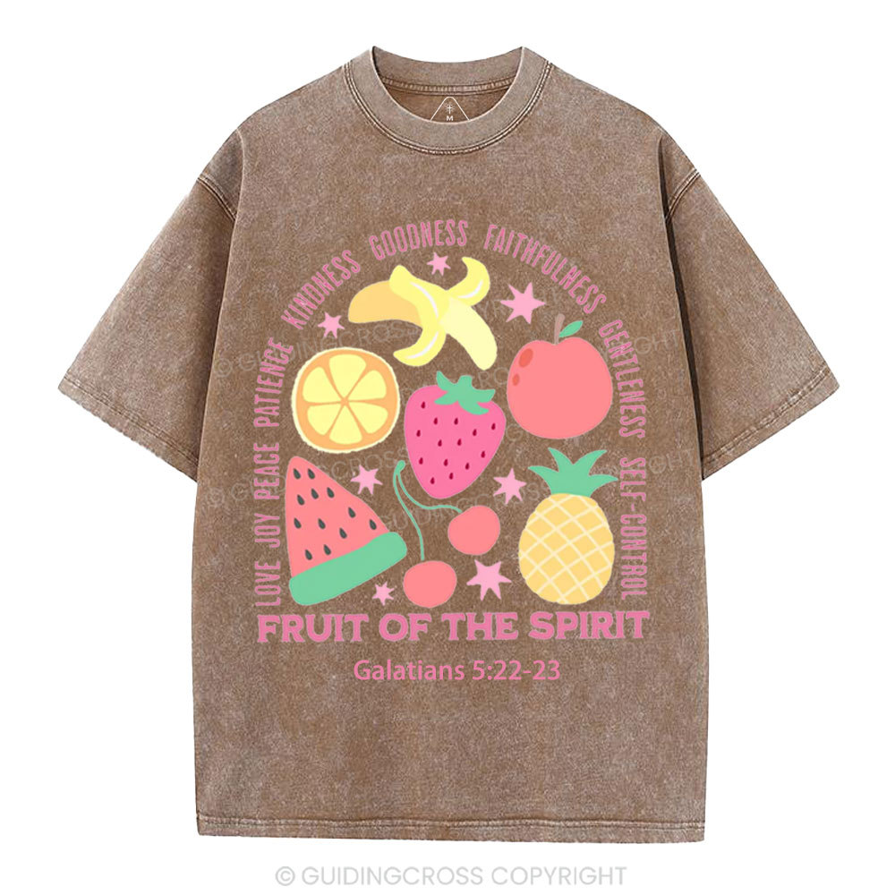 Fruit Of The Spirit Christian Washed T-Shirt