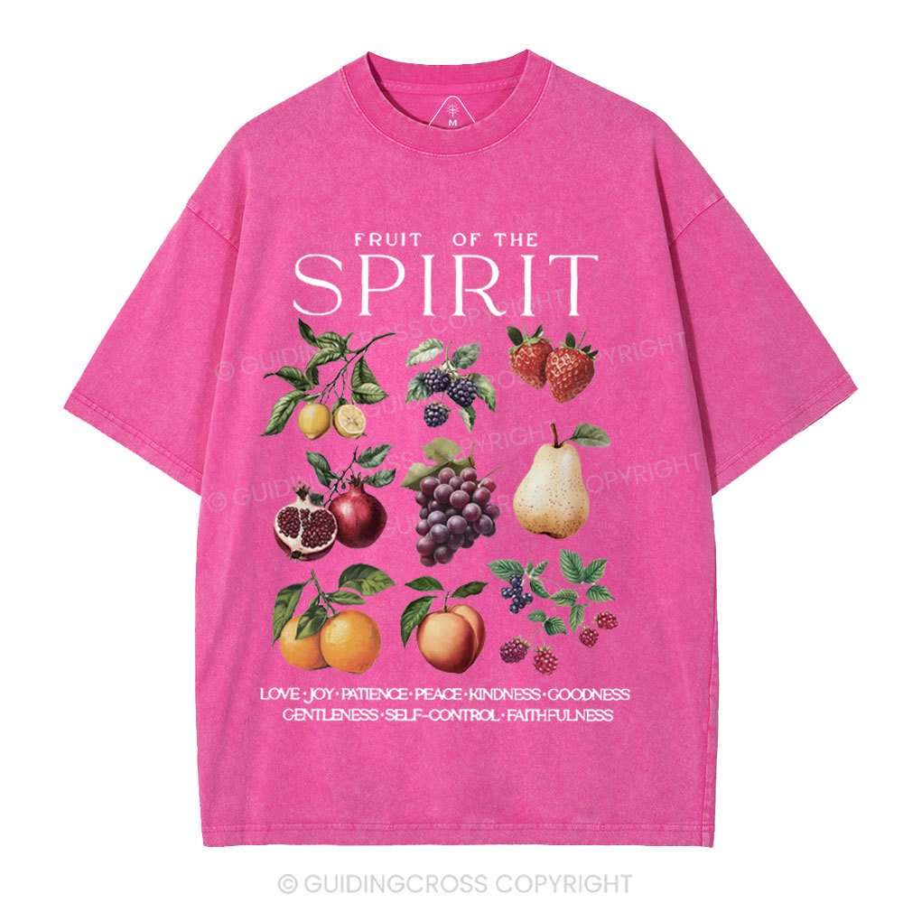 Fruit Of The Spirit Christian Washed T-Shirt