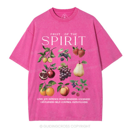 Fruit Of The Spirit Christian Washed T-Shirt