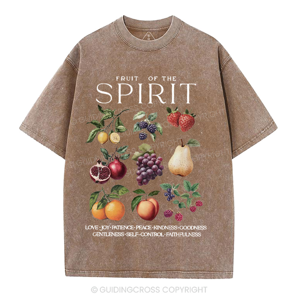 Fruit Of The Spirit Christian Washed T-Shirt