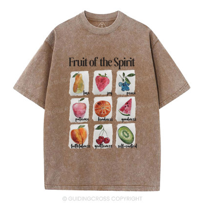 Fruit Of The Spirit Christian Washed T-Shirt